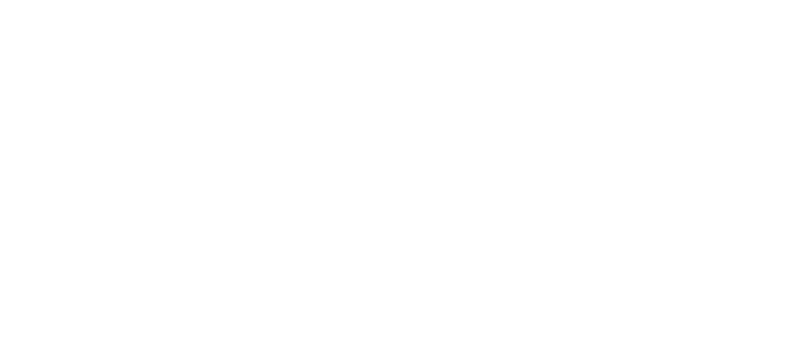 Robin Elise Weiss